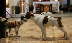 Borghetto in festa per gli animali