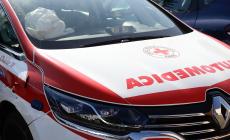 Giovane scomparsa ritrovata da "Teo", il cane dei vigili del fuoco: era in una scarpata
