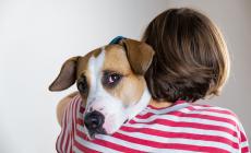 Enpa: «Un miracolo, tutti i nostri cani hanno trovato casa»