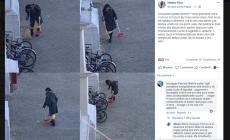 Raccoglie carte e cicche nel centro storico, il sindaco di Pesaro la cerca su Fb