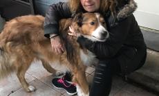 Tamponamento tra camion sull'A14: muoiono due volontari Enpa. Stavano trasportando cani e gatti da adottare