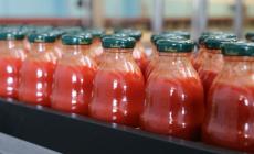 Pomodoro da industria: cala la produzione dei derivati ma cresce la qualità 