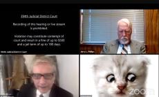 Avvocato in udienza con Zoom: "Non sono un gatto"