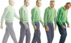Test di autovalutazione,  fisioterapia, dieta:  l'App per  i malati 