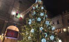 Acceso l'albero di Natale Video