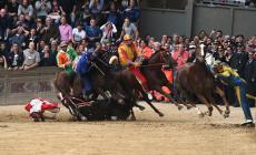 E' morto Raol, il cavallo ferito durante il Palio. L'Enpa prepara una denuncia
