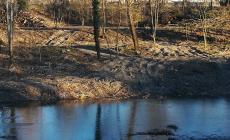La denuncia di Legambiente: "Devastata l'ex area di riequilibrio ecologico nella Parma"
