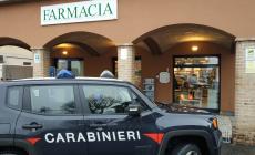 I farmacisti disarmano il malvivente armato di cacciavite: salta la rapina a Sorbolo