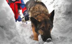 Ferito sui monti rimane 7 notti all'addiaccio con il cane, salvo