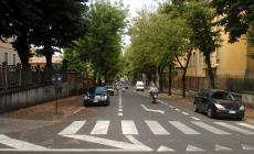 Nuovi alberi di pero  in via Gorizia, sostituiranno quelli abbattuti perché malati e pericolosi 