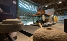 La Giornata mondiale dell'Alimentazione ai Musei del Cibo, ricordando Pietro Barilla - Foto 