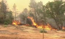 Rischio incendi boschivi, da sabato 26 marzo in Emilia-Romagna scatta lo stato di grave pericolosità: allerta codice arancione per l’aggravarsi della siccità