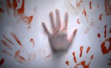Il Centro antiviolenza: "Nessun miglioramento a Parma", 277 donne accolte in dieci mesi