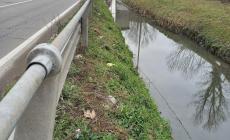 Rifiuti quotidiani in strada Baganzola - Foto