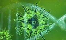 Ancora alto il numero dei nuovi tamponi positivi: 162. 2 i decessi e  13 persone in terapia intensiva