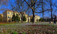 Fiori d'inverno