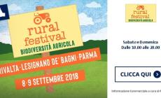 Rural Festival 8-9 settembre - Rivalta - Lesignano De' Bagni - Parma