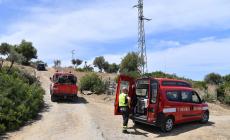 Identificati 38 alberi da abbattere 