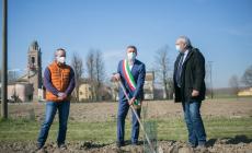 Nasce il bosco che profuma di pomodoro