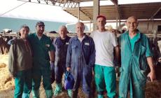 Se n'&egrave; andato all'improvviso il veterinario Mario Lis&egrave;