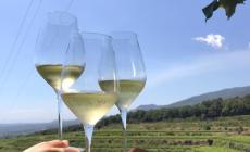 I sommelier e la paura del Covid, ecco un nuovo metodo di degustazione