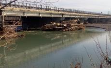 Tronchi e detriti a ridosso del ponte autostradale sul Taro - Foto