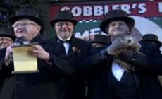 Le previsioni della marmotta Phil: altre 6 settimane di freddo