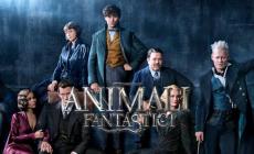 Cinema: Animali Fantastici 2 (I crimini di Grindenwald) subito al top degli incassi