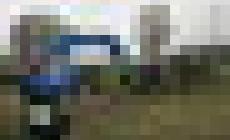 La carica dei 500 piccoli e grandi atleti alla corsa campestre del Cus Gallery