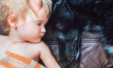 La compagnia  di un pet migliora il sonno dei bimbi in lockdown