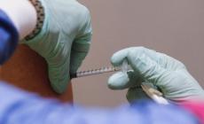Vaccini over 75, a Parma in poche ore 6.850 prenotazioni