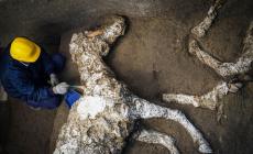 Eccezionale: Pompei restituisce il cavallo bardato del comandante