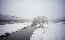 Nevica a Parma. Il sindaco Pizzarotti: "Spargisale gi&agrave; in azione, scuole aperte"