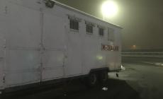 Camion del  circo bloccato sulla tangenziale. Timori  per gli animali 