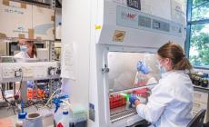 Sperimentazione Usa su Astrazeneca: il vaccino è sicuro 
