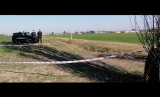 Ragazza accoltellata trovata in un fosso nel Trevigiano, è grave