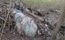 Tanti rifiuti nella zona di protezione speciale Basso Taro - Foto 