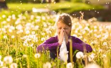 Fiori,  non solo gioie Le allergie primaverili