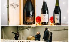 Natale in Cantina 2018: visite e degustazioni a Monte delle Vigne