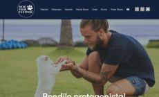 Video e animali nasce il Dog Film Festival italiano