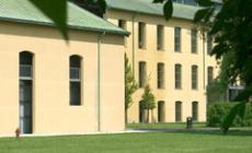 Anche la Fondazione Toscanini fa il Black Friday