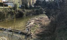 Torrente Ghiara, partono i lavori di pulizia