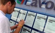 Offerte di lavoro da Unimpiego