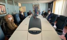 Riunione in Regione sulle Zebre, Rainieri: "Fondamentale farle restare a Parma"