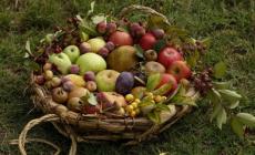 Il sidro di Corniglio al Rural Market 
