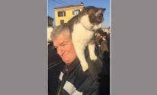Zibello: un simpatico gattino a November Porc