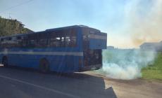 Fumo dal motore: evacuata una corriera Tep a Coltaro
