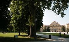 Droga da Milano al parco Ducale, un "giro" da 24mila euro: quattro arresti dei carabinieri