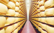 Parmigiano Reggiano: verso una sfida Bertinelli-Minelli