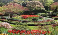 Interno Verde: per un weekend si svela l'anima fiorita di Parma. Chi vuole aprire al pubblico il proprio giardino?